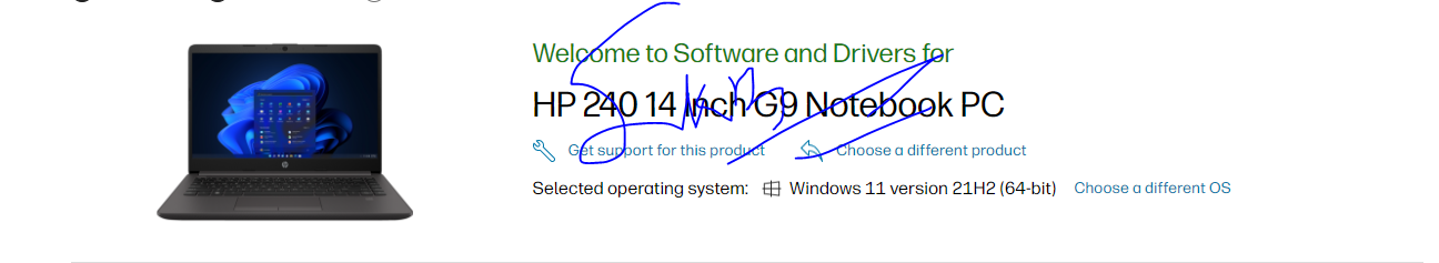 grtyrytr.PNG